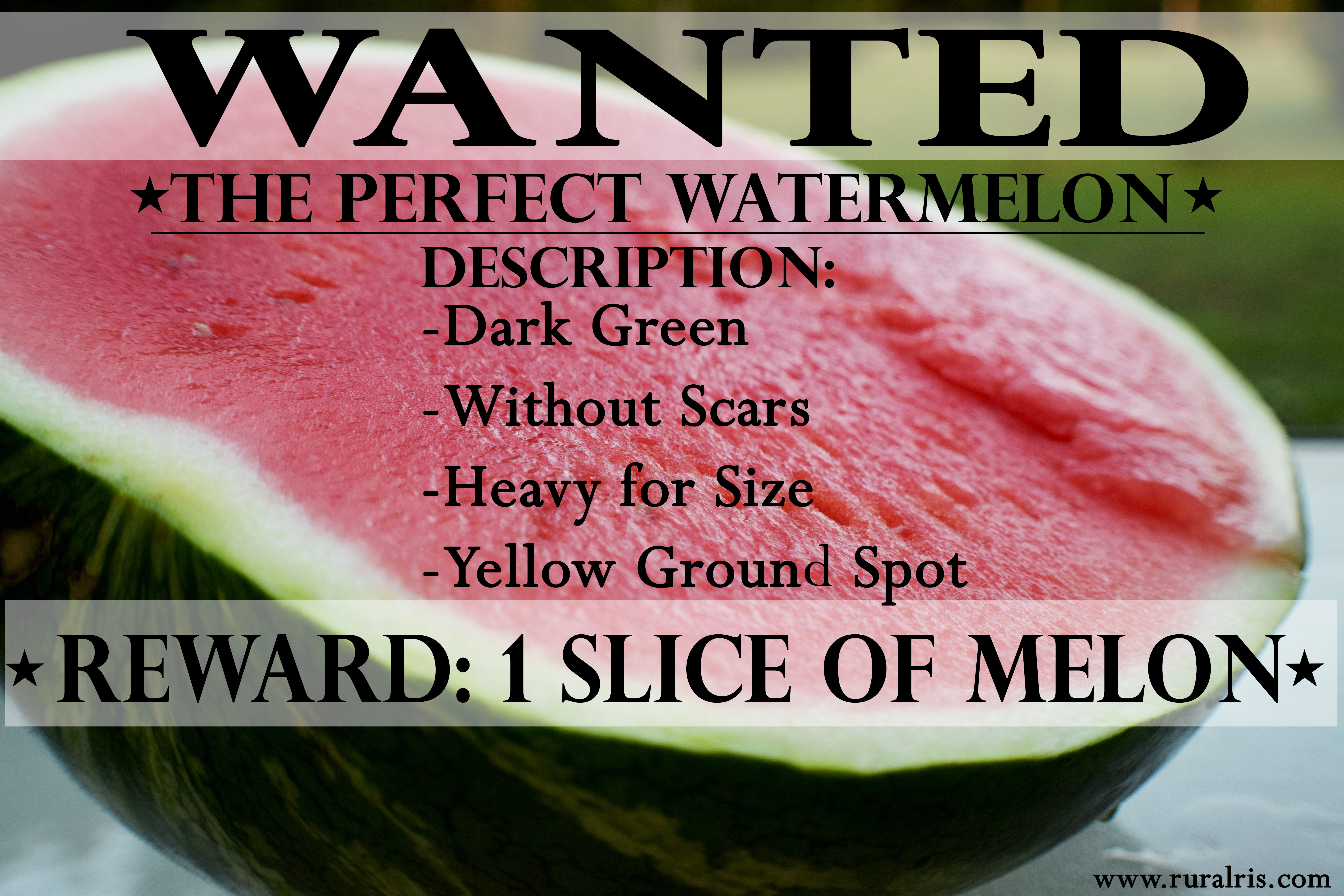 How can you tell if a watermelon is bad?